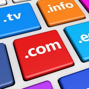 .co domain registration / renewal + Hosting
